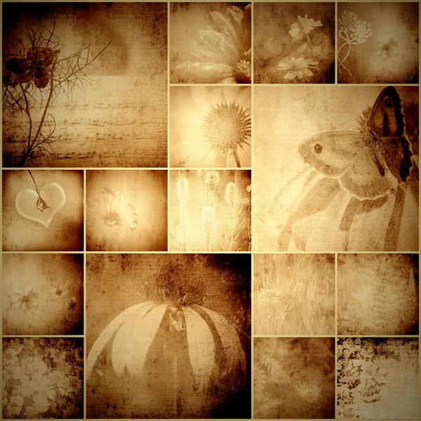 Collage vintage fiori e farfalla — Foto Stock