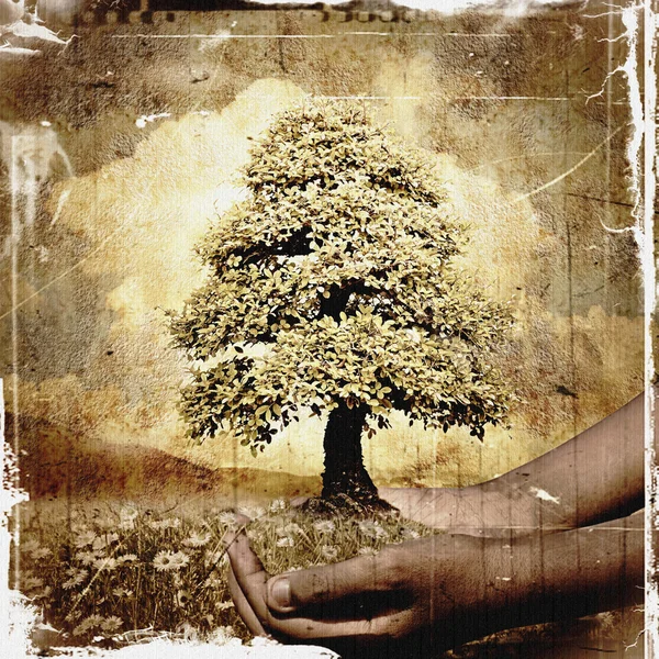Hände halten einen Baum Grunge Hintergrund — Stockfoto