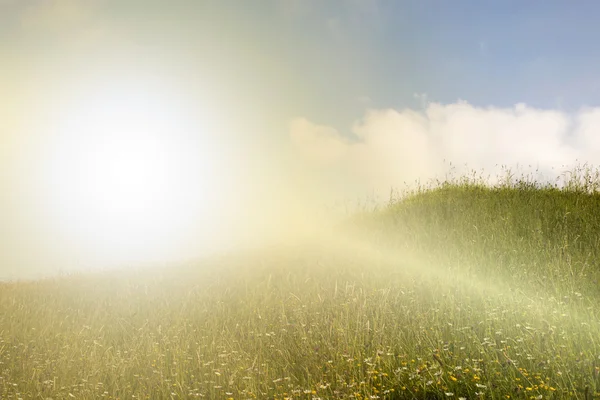 Sonnenuntergang auf dem Feld — Stockfoto