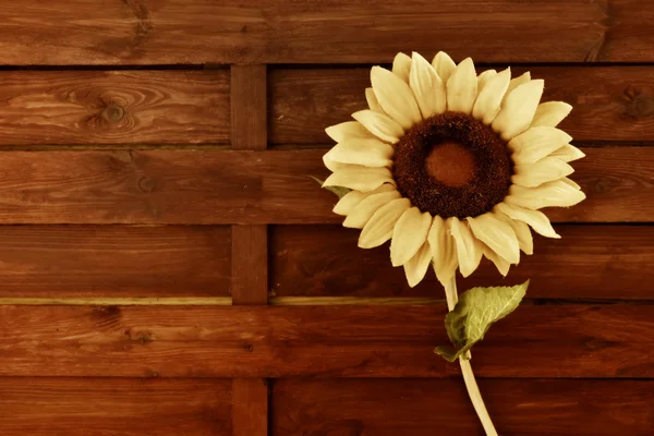 Zonnebloem houten achtergrond — Stockfoto