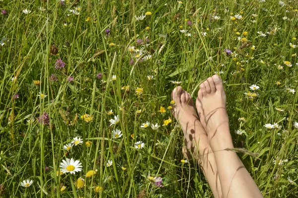 Feet of a young woman lying in a meadow — Stock Photo, Image