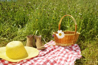 kadın şapka, Ayakkabı ve ve hasır sepet piknik üzerinde