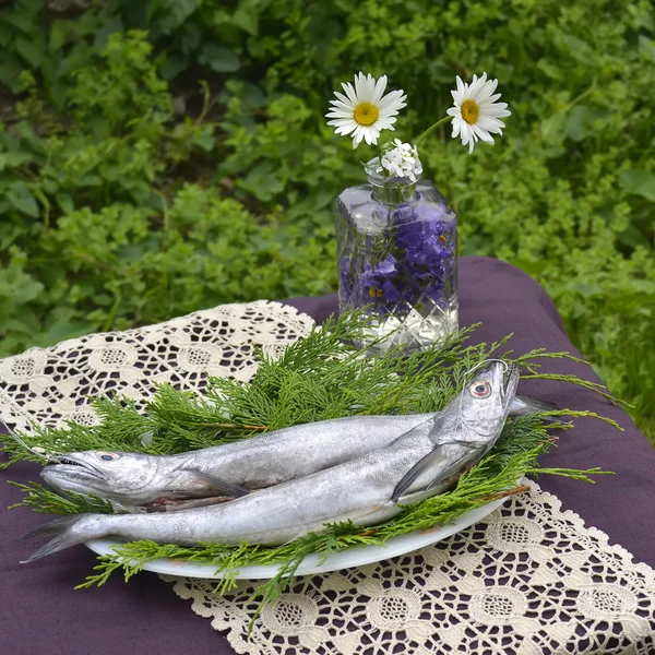 Fresh hake tray on a table — Stock Photo, Image