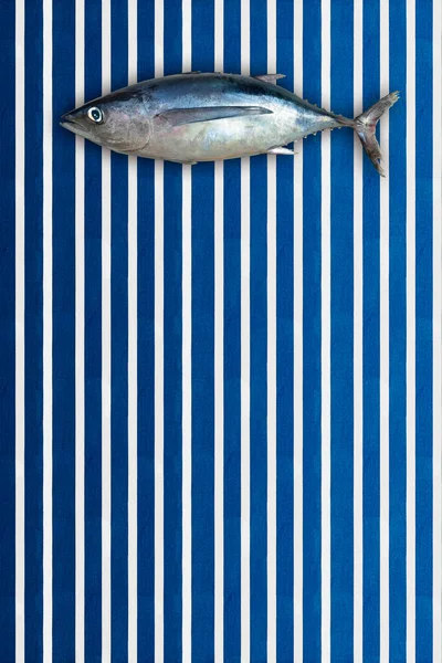 原生全鱼 北方长鳍金枪鱼 Thunnus Alalunga 产于北方 以海洋风格的垂直线为背景 — 图库照片