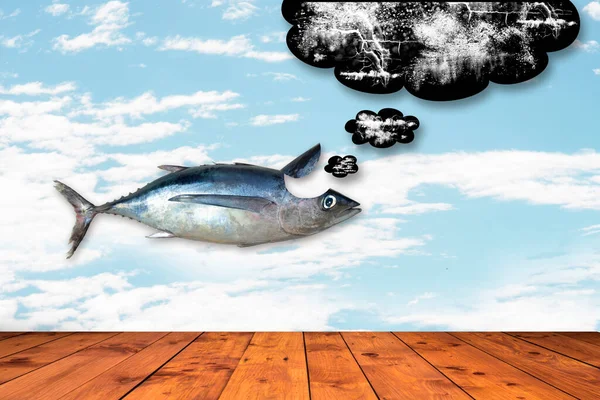 Geestelijke Gezondheid Veerkracht Overwinnen Vissen Uit Het Water Metaforen Conceptuele — Stockfoto