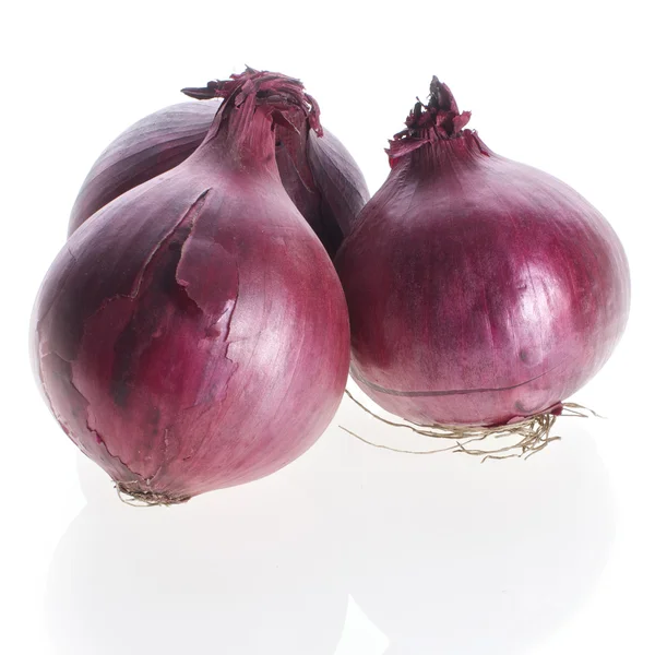 Soğan