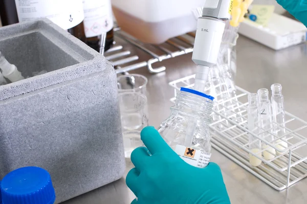 Trabalho em laboratório — Fotografia de Stock