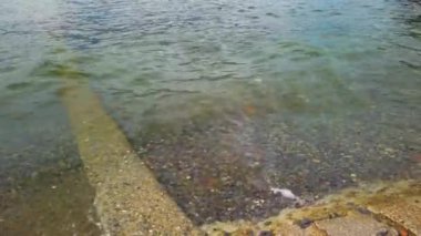 Varenna, Como Gölü, Lombardy, İtalya 'da hafif dalgalar kıyıya vuruyor. Kıyı küçük taşlar ve çakıllarla dolu. Bulutlu bir yaz günü. 4K.