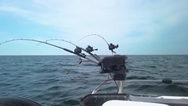 Три Рибальські Палички Підключені Гвинтівки Вигнуті Риболовлі Лініями Воді Палички — стокове відео