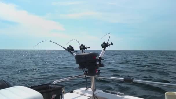 Tres Cañas Pescar Enganchadas Con Hilanderos Aparejadas Para Pescar Con — Vídeos de Stock