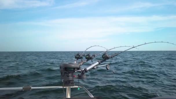 Three Fishing Rods Hooked Spinners Rigged Fishing Lines Out Water — Stock Video