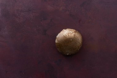 Köy arka planında duran lezzetli, lezzetli mantarlar. Yemek fotoğrafçılığı. Metnin için mantarların etrafında boşluk bırak.