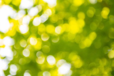 Soyut bulanık, düşük derinlikteki alan bokeh ışık şekilleri. Canlı, yeşil, beyaz ve sarı arkaplan resimlerinde farklı şekil ve noktalar var. İlkbahar ve yaz için mükemmel..