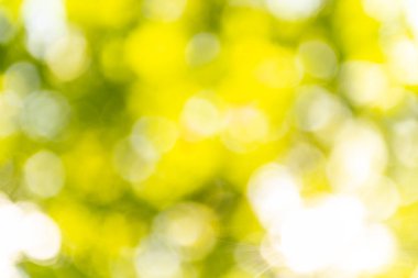 Soyut bulanık, düşük derinlikteki alan bokeh ışık şekilleri. Canlı, yeşil, beyaz ve sarı arkaplan resimlerinde farklı şekil ve noktalar var. İlkbahar ve yaz için mükemmel..