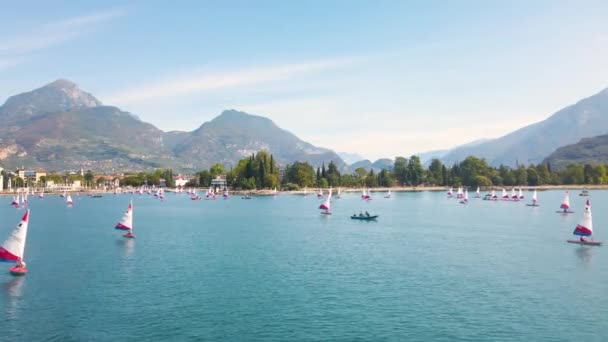 Grande Grupo Botes Otimistas Navegando Treinando Belo Lago Garda Trentino — Vídeo de Stock