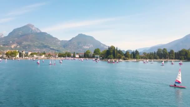 Big Group Optimist Dinghies Sailing Training Beautiful Garda Lake Trentino — Stock Video