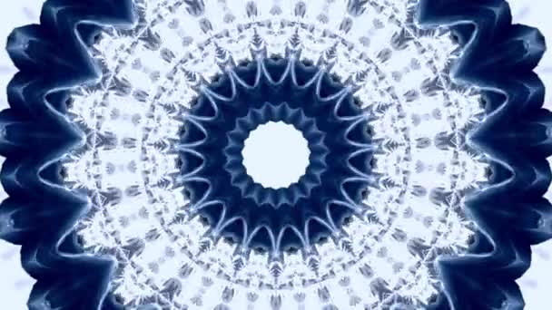 Mandala simetrik geçişi. Botanik soyut arkaplan. — Stok video