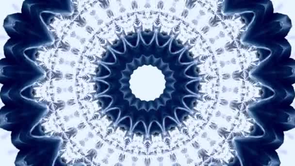 Transición simétrica de mandala. Fondo botánico abstracto. — Vídeos de Stock