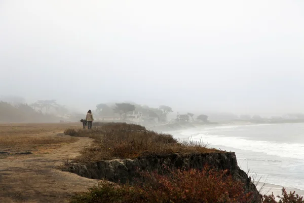 Half Moon Bay — Stock Photo, Image