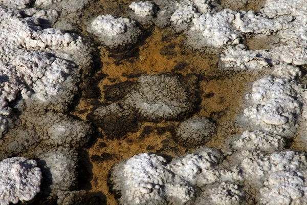 Badwater λεκάνη — Φωτογραφία Αρχείου