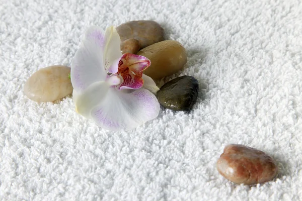 Stones for massage — Stock Photo, Image