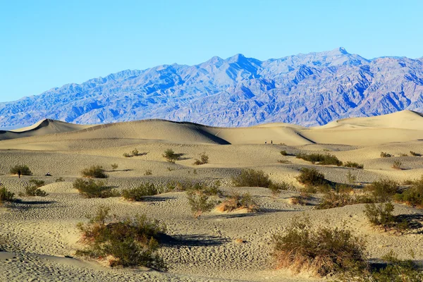 Dunas de areia — Fotografia de Stock