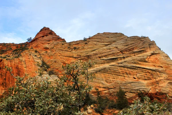 峡谷；峡谷 — 图库照片