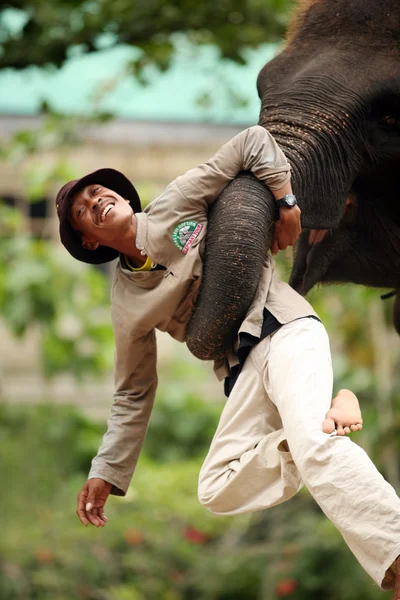 Elephant keeper — Stock Photo, Image