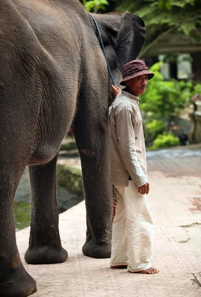 Elephant keeper — Stock Photo, Image