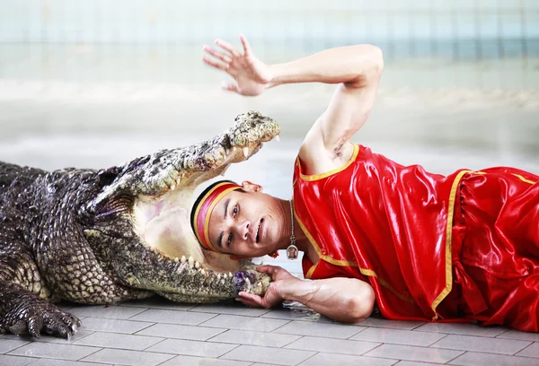 Crocodile show in Thailand — Φωτογραφία Αρχείου