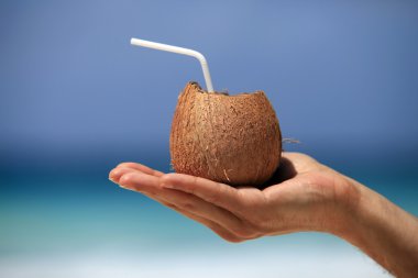 Bir adamın elinde Hindistan cevizi