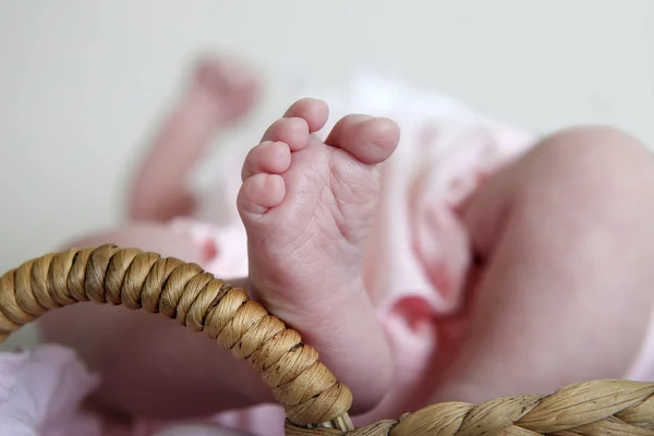 Pequenas pernas de bebê — Fotografia de Stock