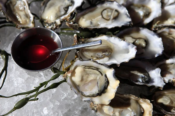 Opened oysters on ice — Stock Photo, Image