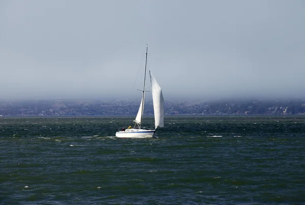 Segelbåt — Stockfoto