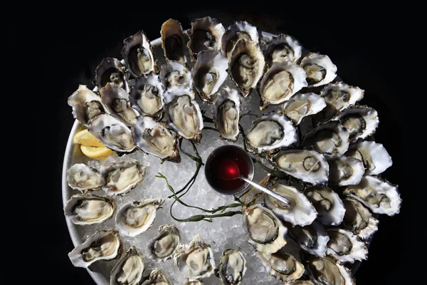 Geopende oesters op ijs — Stockfoto