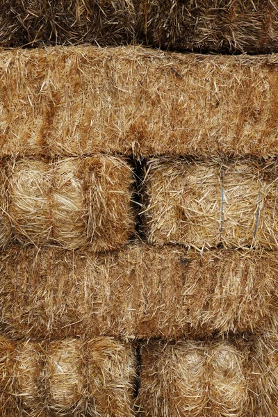 Haystack. — Fotografia de Stock