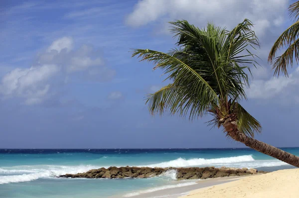 Praia tropical — Fotografia de Stock