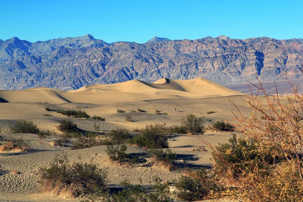 Dunas de arena — Stockfoto