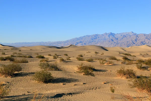 Dunas de areia — Fotografia de Stock