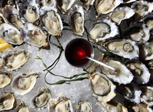 Opened oysters on ice — Stock Photo, Image