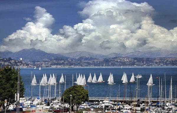 Baai van San Francisco — Stockfoto