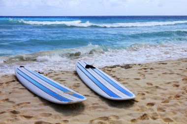 plajda sörf tahtaları