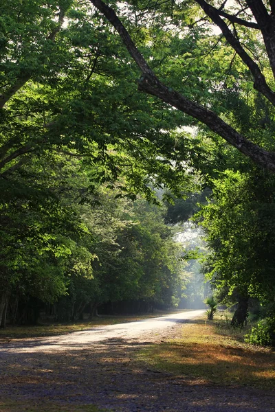 Parco verde . — Foto Stock