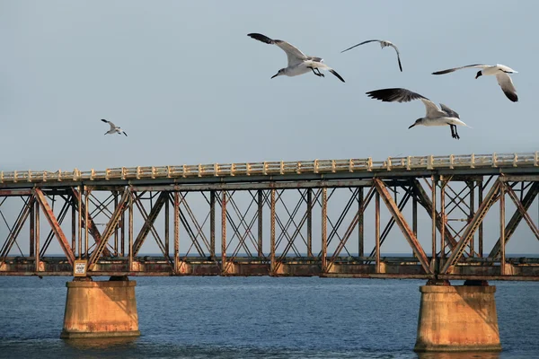 Il vecchio ponte ferroviario — Foto Stock