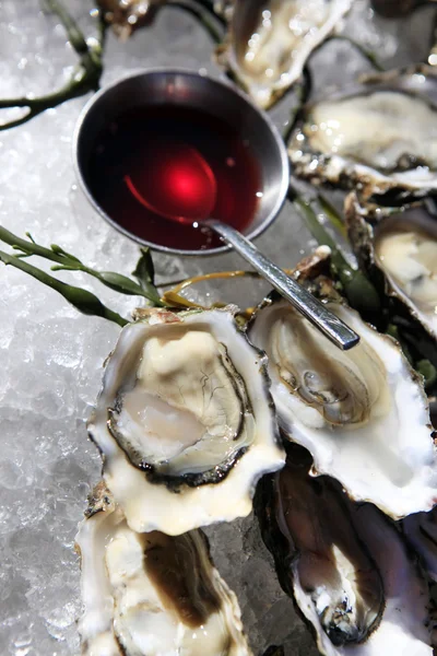 Geopende oesters op ijs — Stockfoto