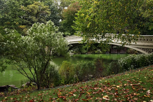 Central Park in New York — Stockfoto