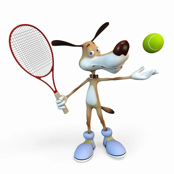 Köpek tenis oyuncusu. — Stok fotoğraf