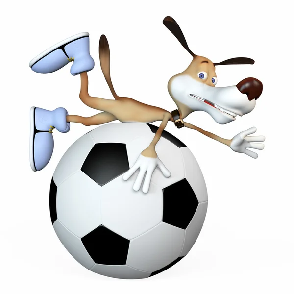 Hond voetballer. — Stockfoto