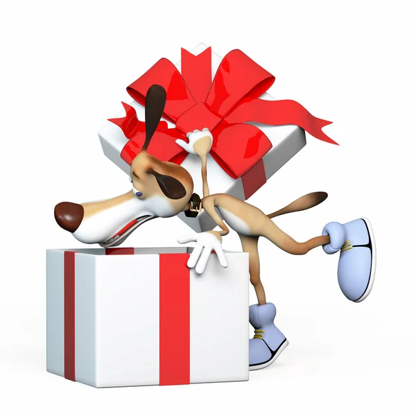 The dog looks for gifts. — Stock Photo, Image