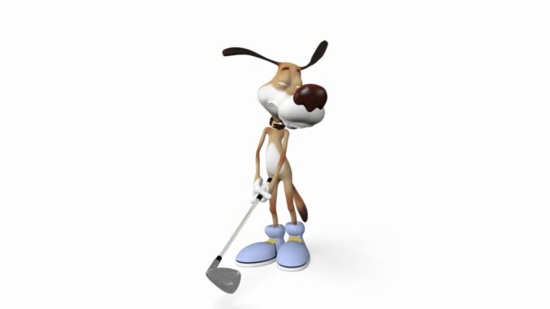 Dog playing golf. — Stock Video